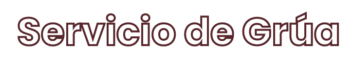 Grua pesados